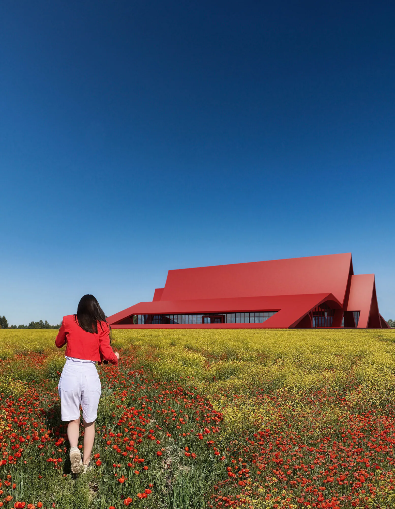 Exterior concept, poppy field