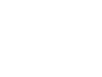 ritz